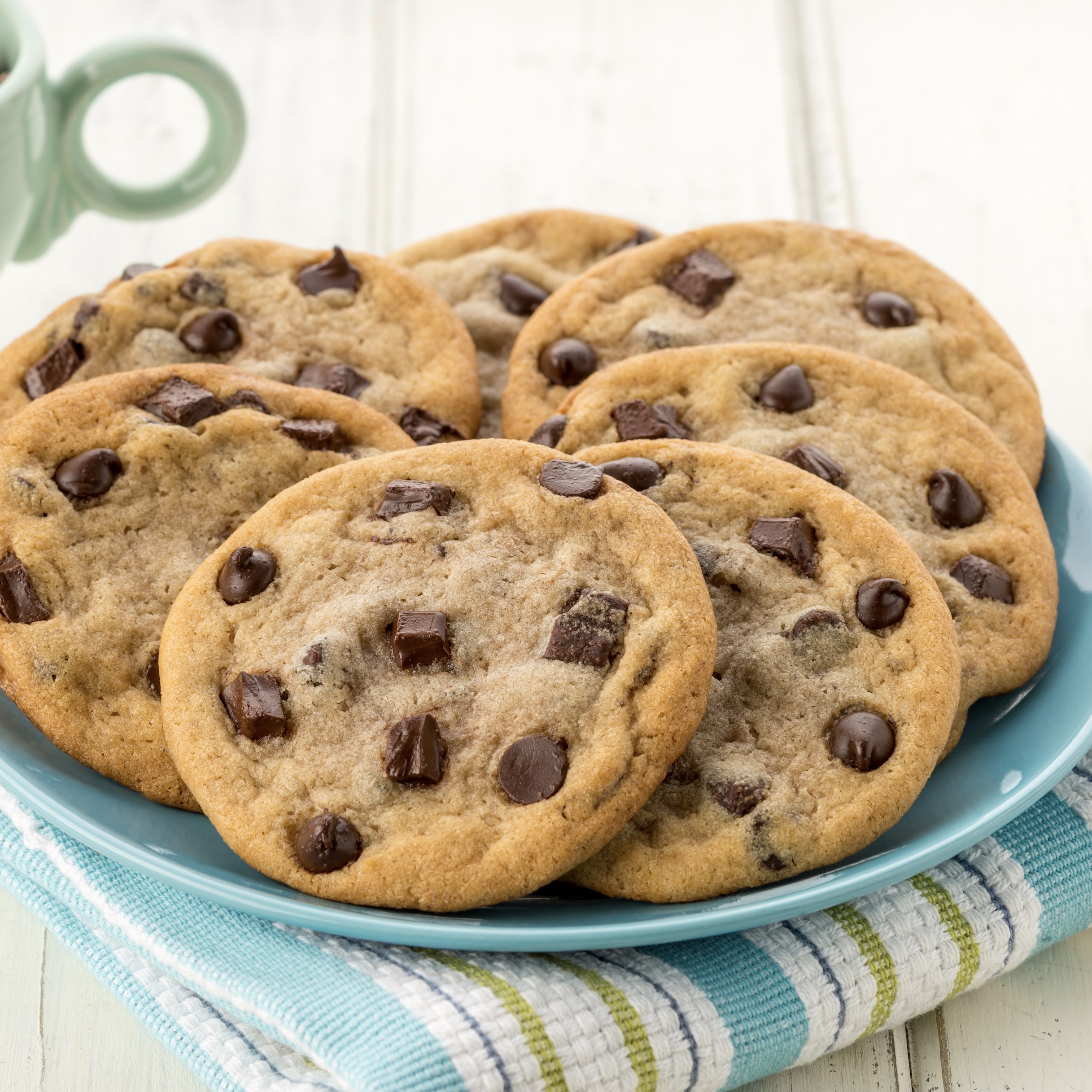 Chocolate Chip  2 lb Tub — view details