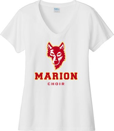 Women's Fan Favorite V-Neck Tee — view details