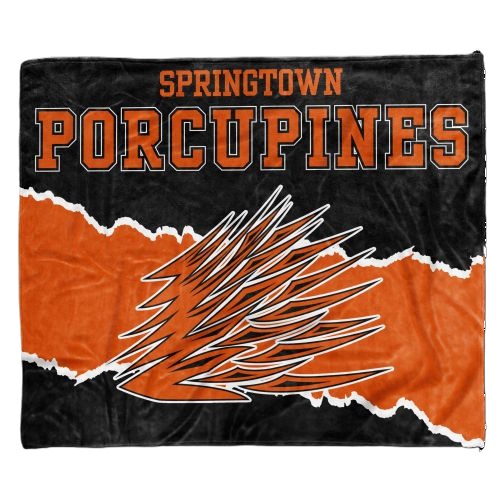 SPRINGTOWN POJO TEAM THROW (50in x 60in BLANKET) DESIGN 2 — view details
