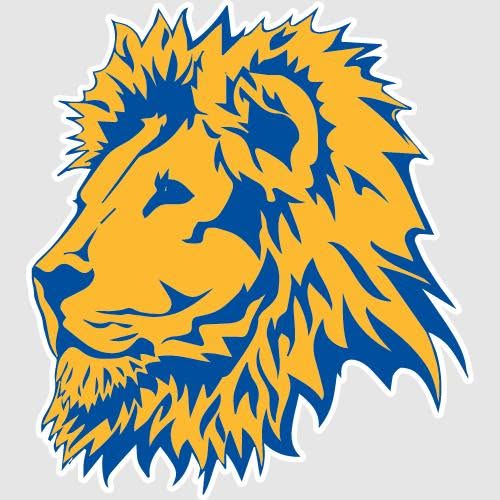 Donation option