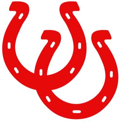 Donation option