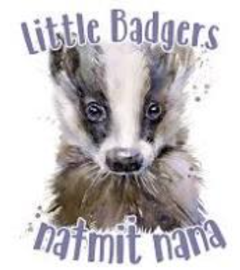 Little Badgers Early Learning Program