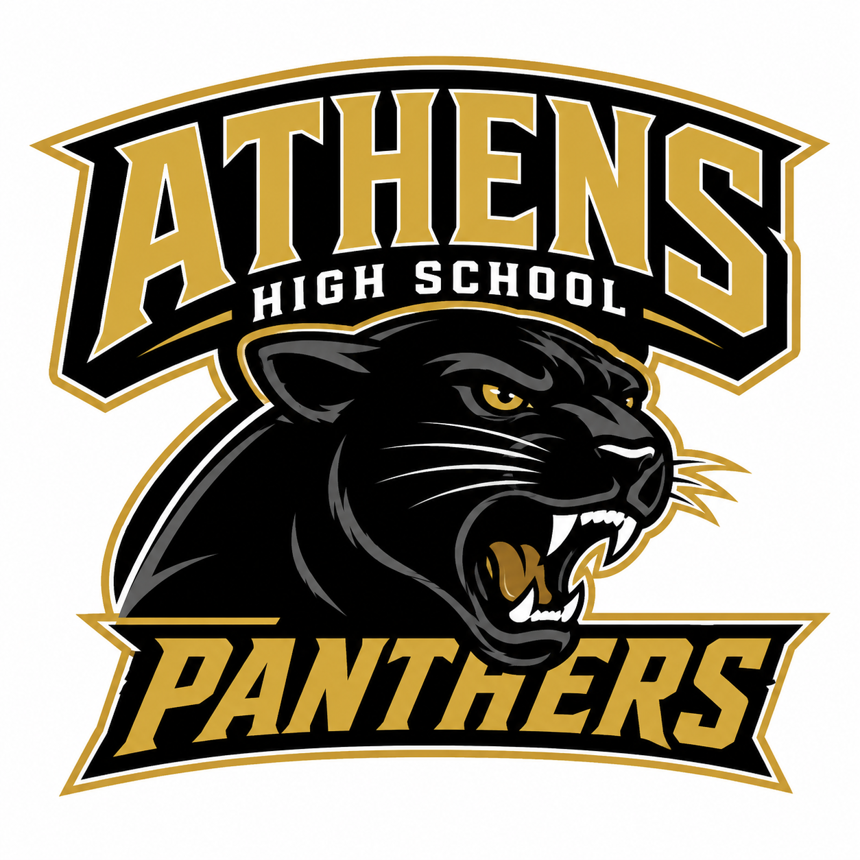 Athens High Panthers Football