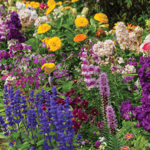 Hummingbird Haven Flower Garden Mat
