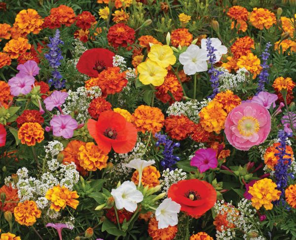 DeerGuard Flower Garden - 1 Mat — view details