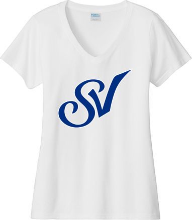 Women's Fan Favorite V-Neck Tee — view details