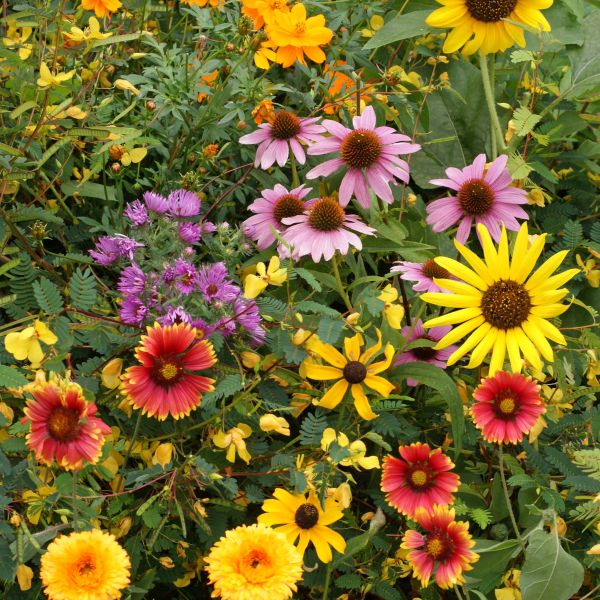Bird Lover’s Delight Flower Garden – 1 Mat — view details