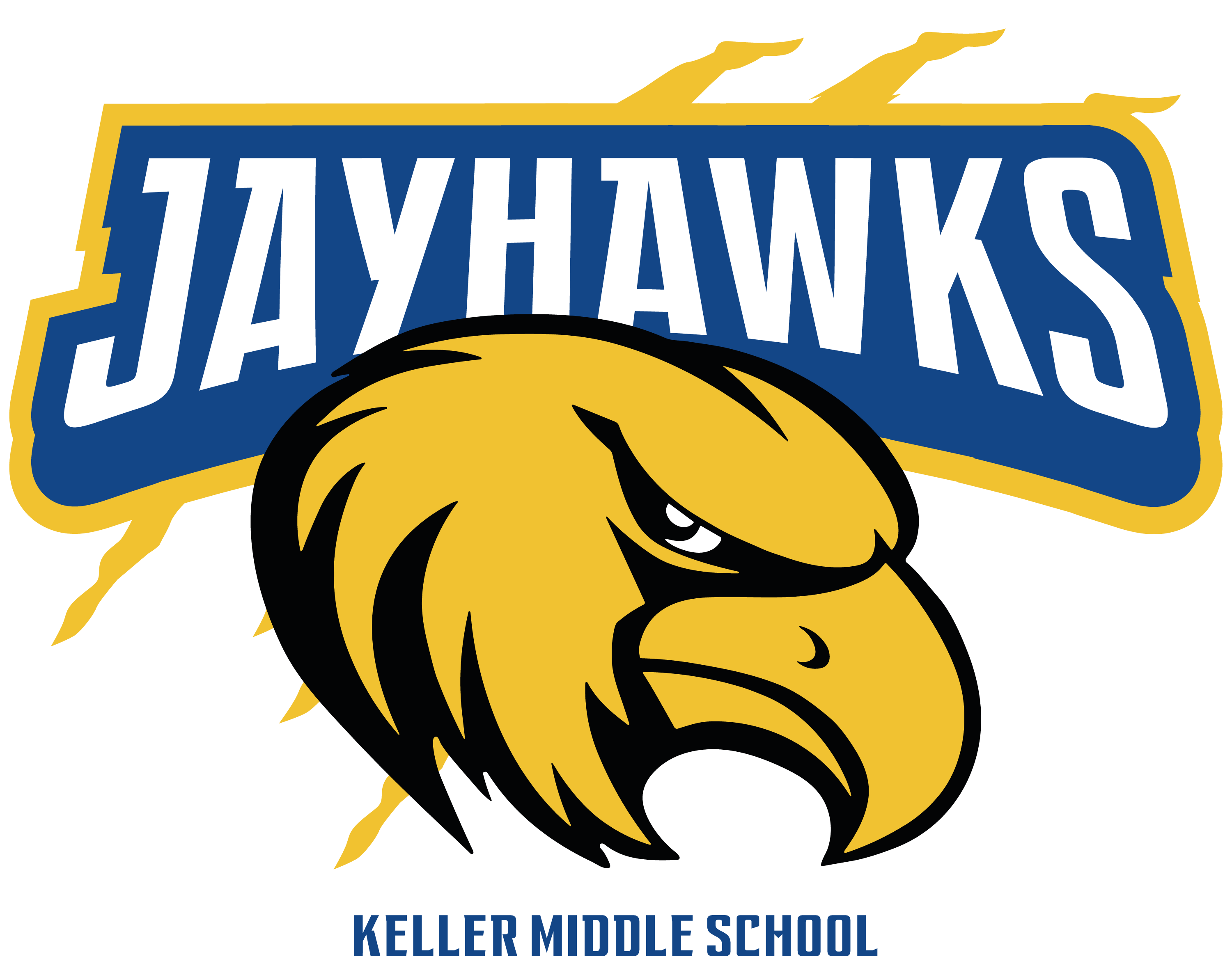 Sponsor logo