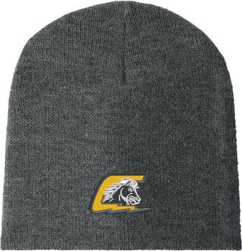 Beanie Cap — view details