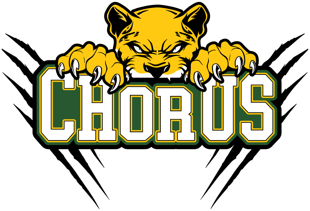 Sponsor logo