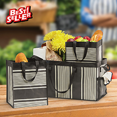 Linen Stripe Deluxe Utility Tote Trio — view details