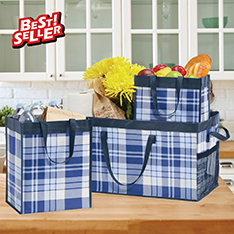 Blue Plaid Deluxe Utility Tote Trio — view details