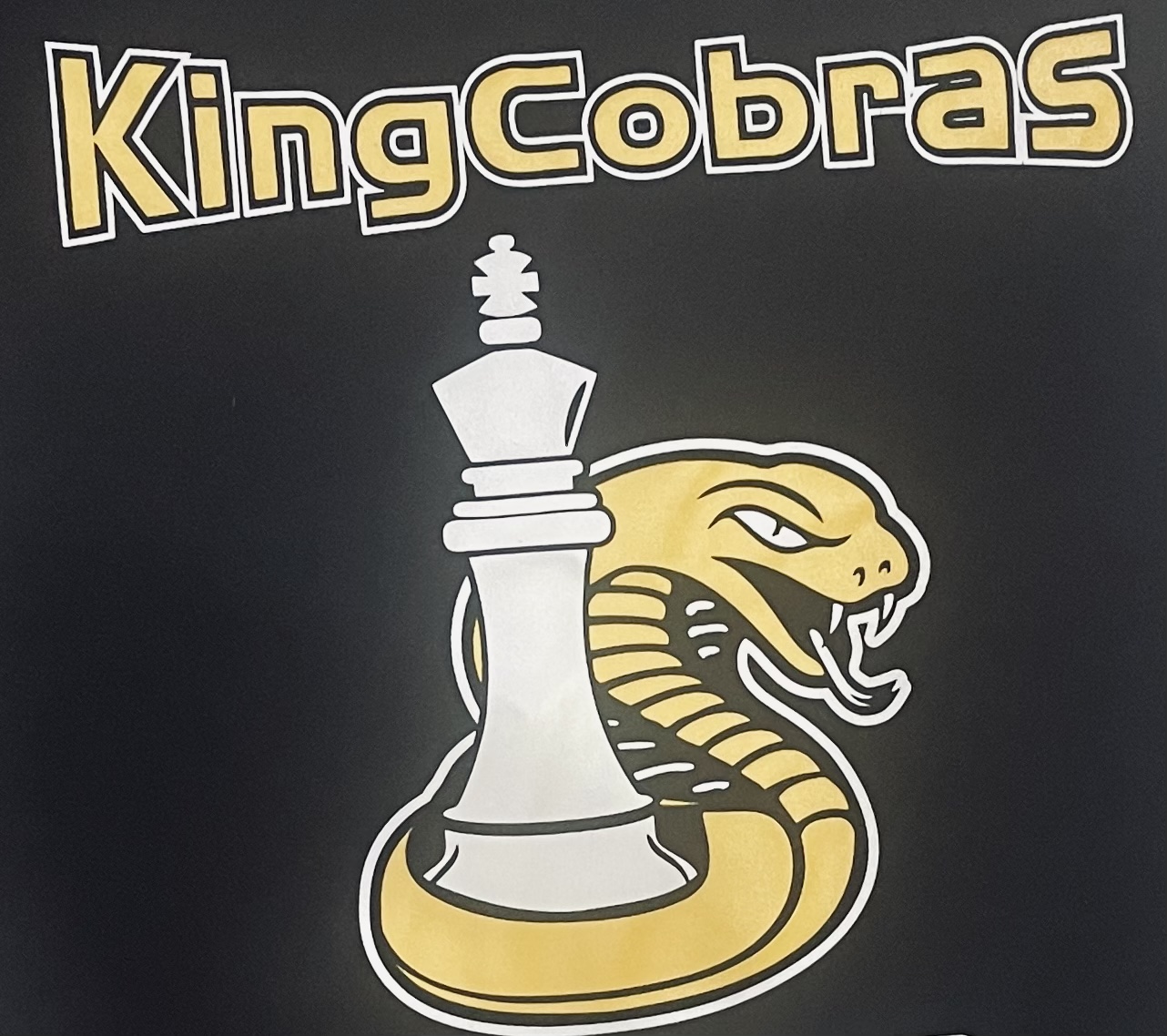 Cathey MS Chess Club