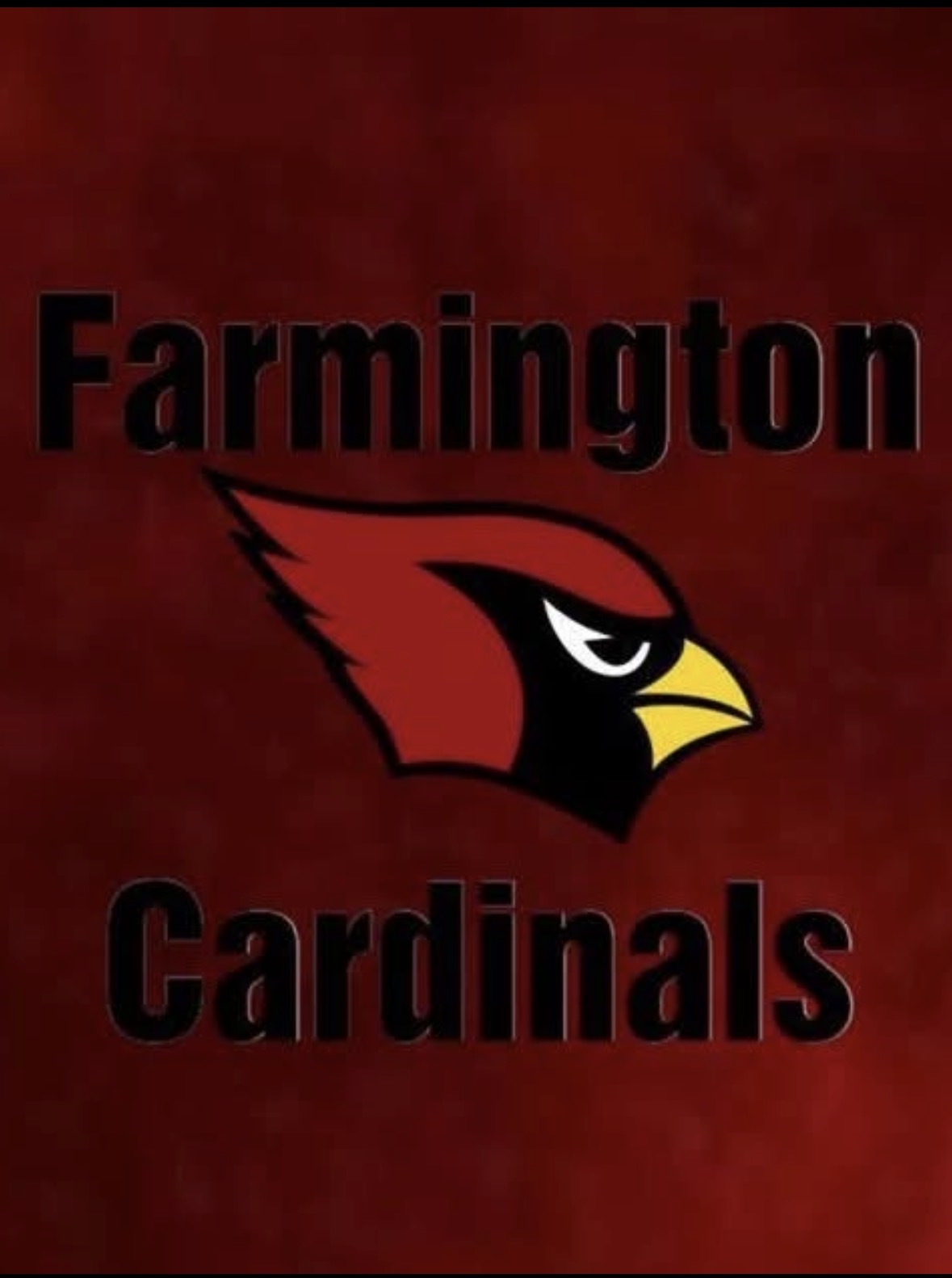 Farmington Girls Basketball