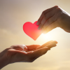 Donation option