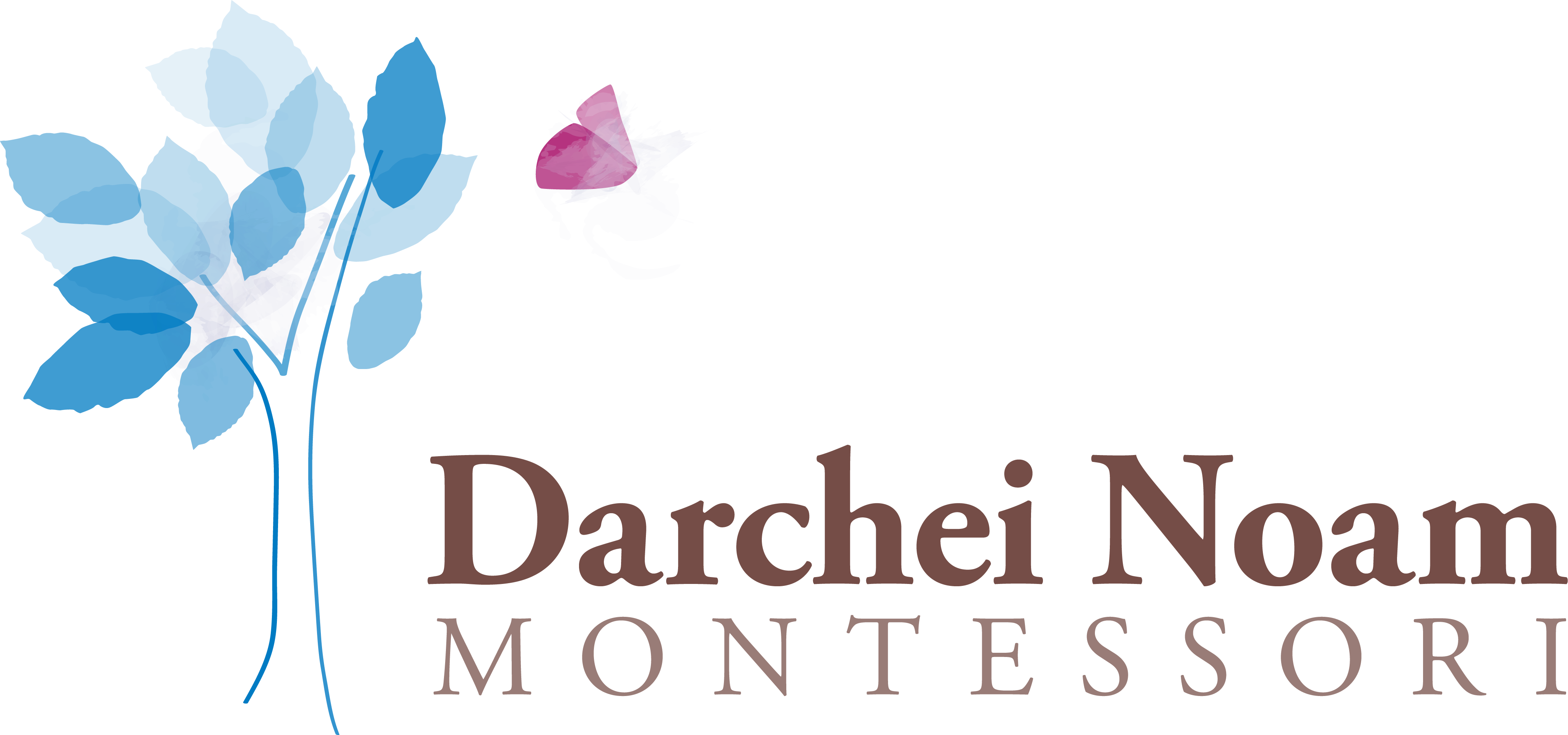 Darchei Noam Montessori