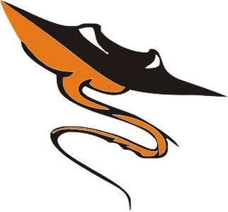 Duncan Stingrays Swim Team