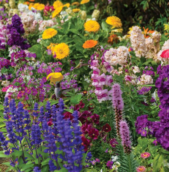 Hummingbird Haven Flower Garden – 1 Mat — view details