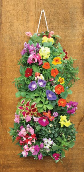 Hummingbird Hanging Kit — view details