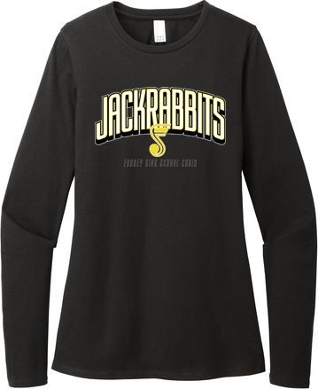 Women’s Perfect Blend CVC Long Sleeve Tee — view details
