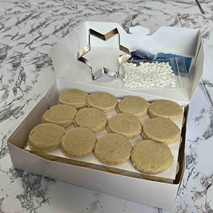 WF DF EF PNF TNF Decorating Kit - Hanukkah — view details