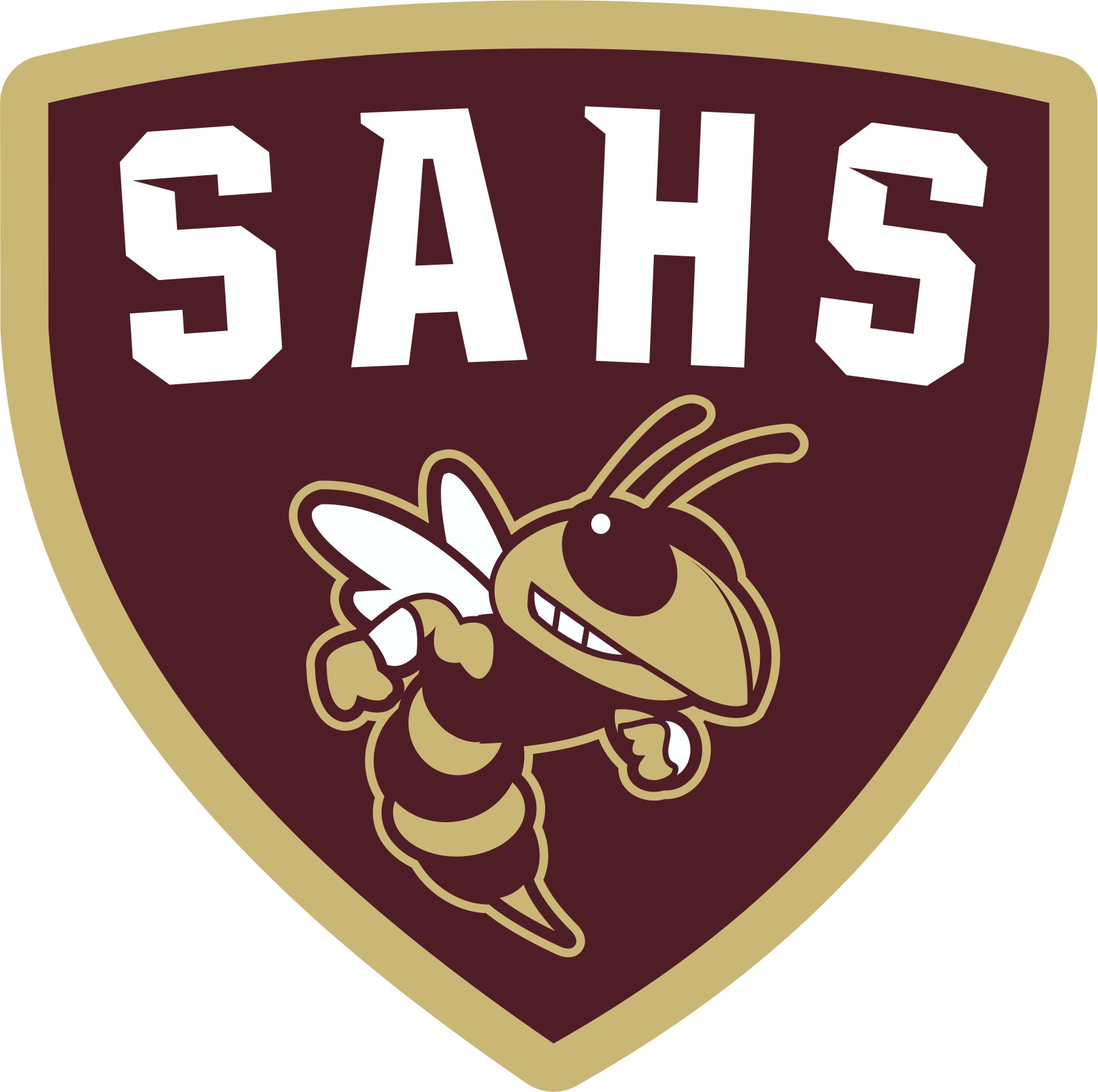 Saint Augustine High School