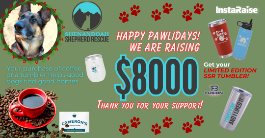 Shenandoah Shepherd Rescue