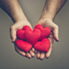 Donation option